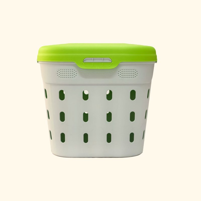 in-ground worm bin | in-ground worm farm